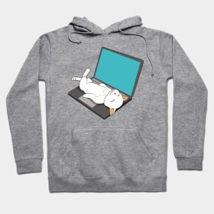 cat sleeping on laptop Hoodie